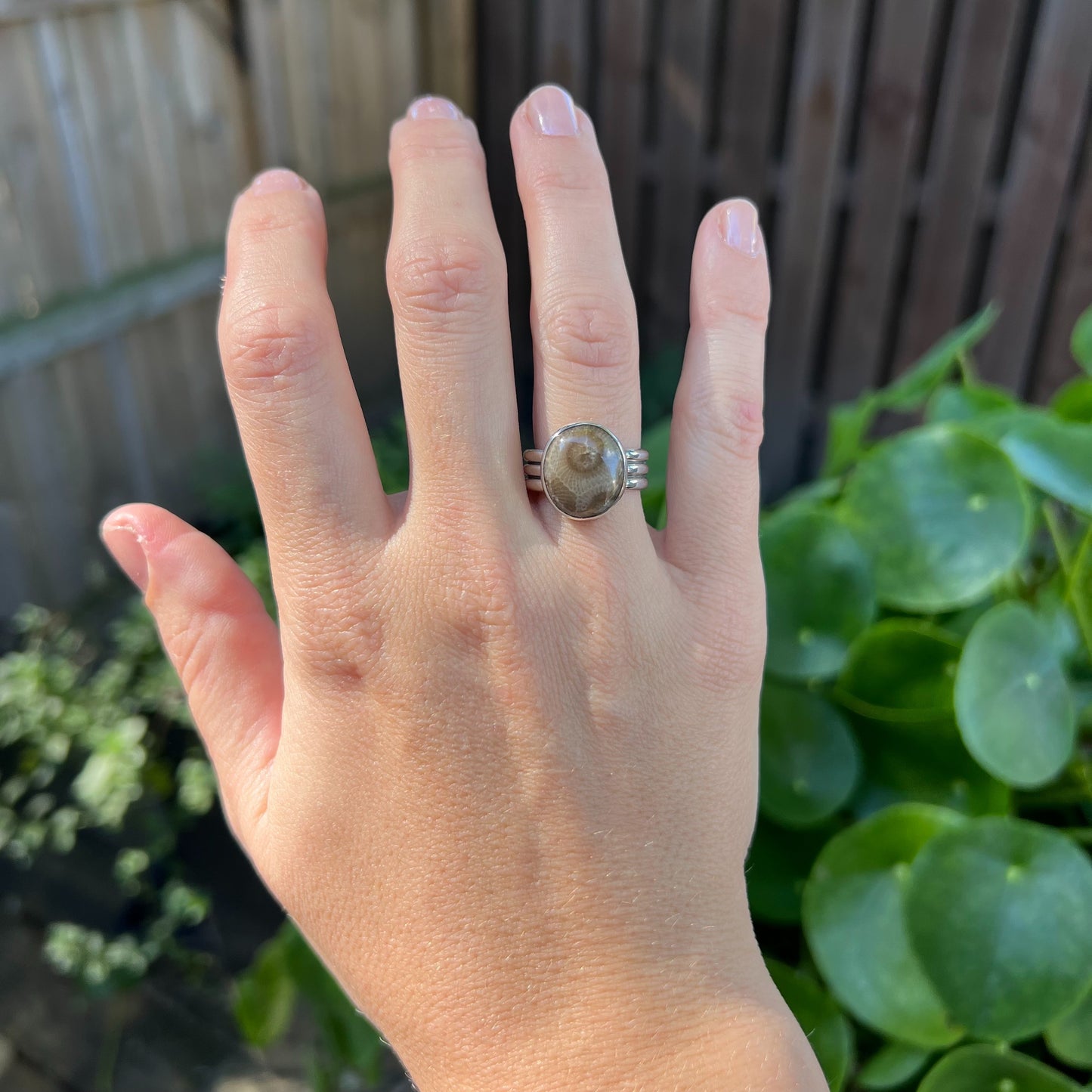 Petoskey Stone Triple Band - Size 6.5