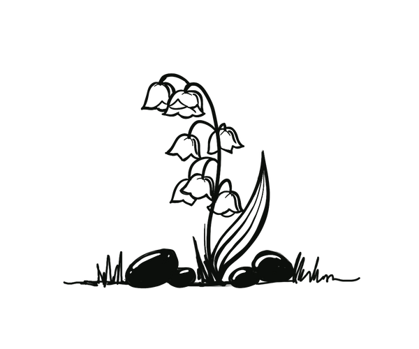 Slow Season logo